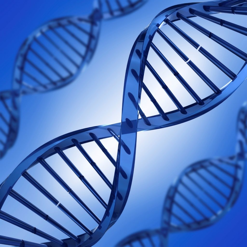 Research Noonan Syndrome Awareness Association